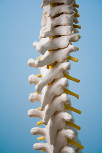 Spine photograph